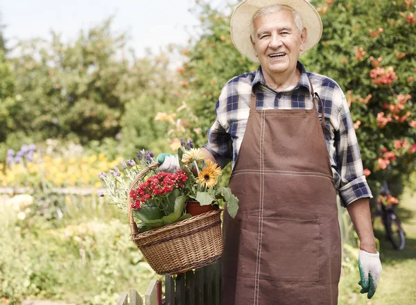 Homem sênior trabalhando com flores — Fotografia de Stock