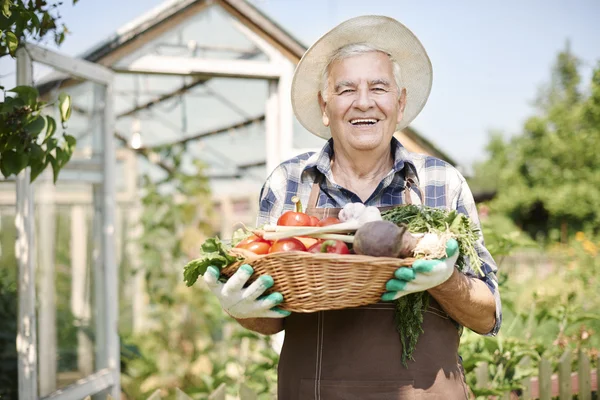 Senior man met biologische groenten — Stockfoto