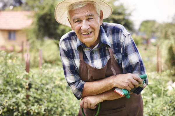 Senior man working in garden — Stock Photo, Image