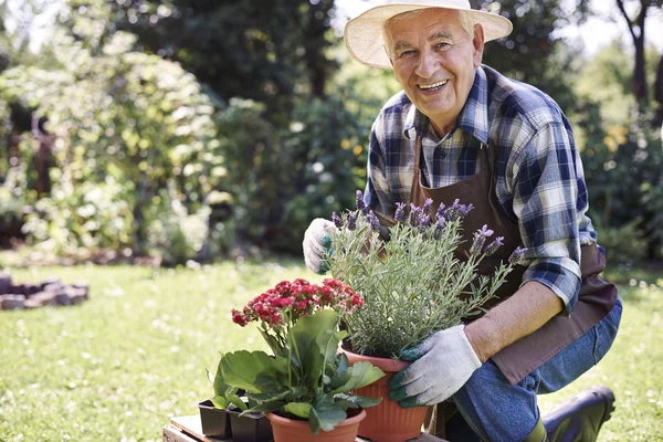 Senior man working with flowers — Stock Photo, Image