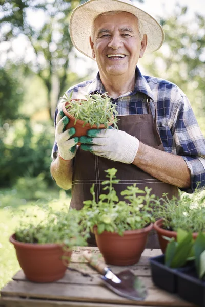 Senior man aan het werk in de tuin — Stockfoto