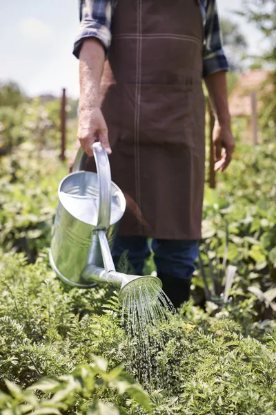 Senior man aan het werk in de tuin — Stockfoto