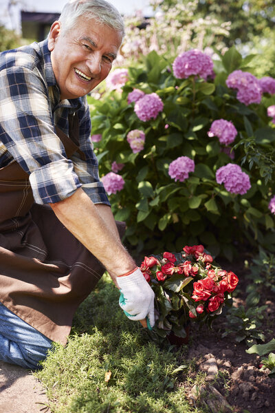 senior man working with flowers