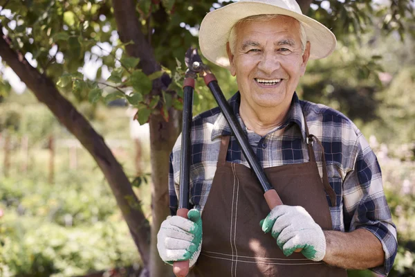 Älterer Mann arbeitet im Obstgarten — Stockfoto