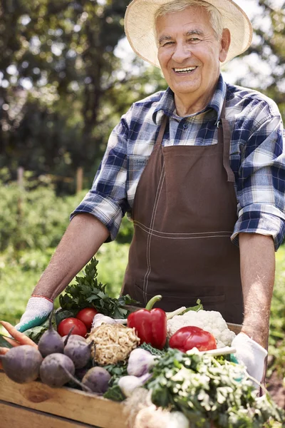 Homem idoso com legumes orgânicos — Fotografia de Stock