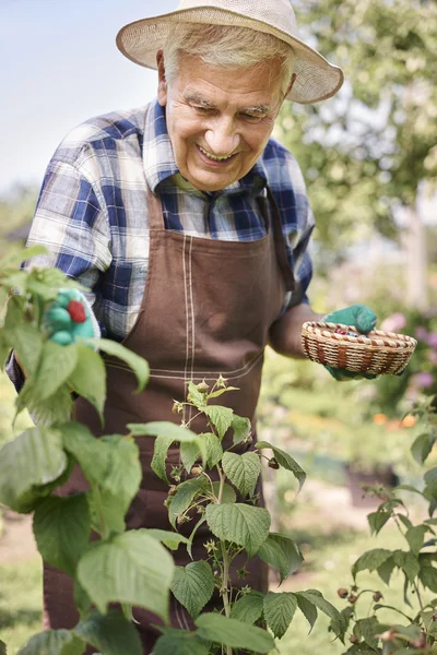 Älterer Mann im Garten — Stockfoto