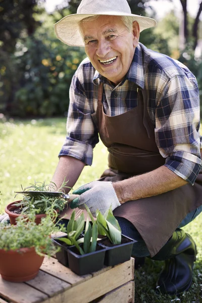 Man som arbetar med växter — Stockfoto