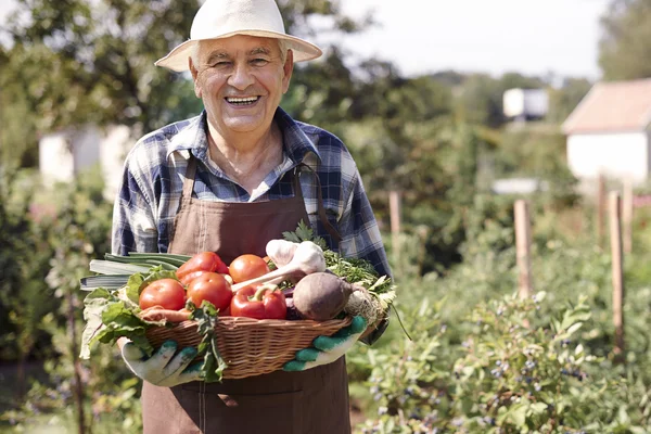 Oudere man met biologische groenten — Stockfoto