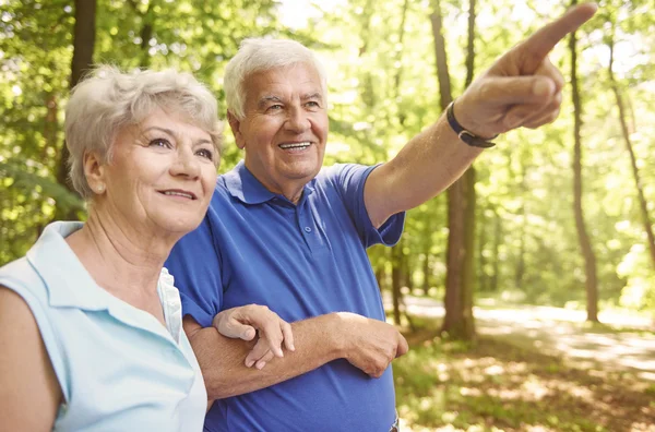 Pareja de ancianos caminando en el parque — Foto de Stock