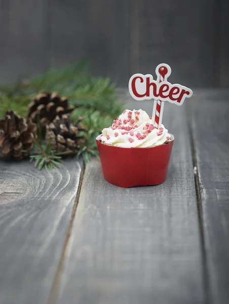 Heerlijke muffin met denneappels — Stockfoto