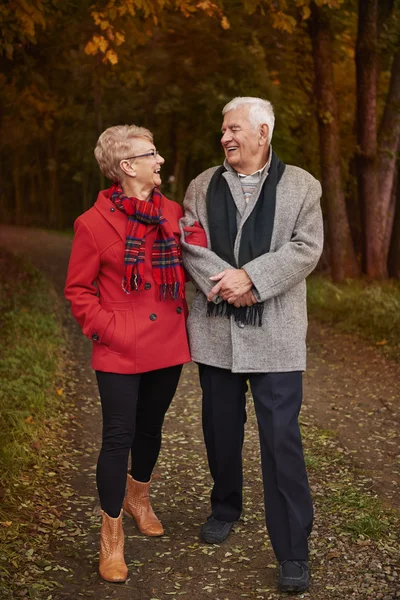 Casal sênior andando na floresta de outono — Fotografia de Stock