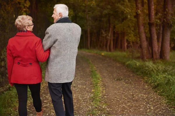 Casal sênior andando na floresta de outono — Fotografia de Stock