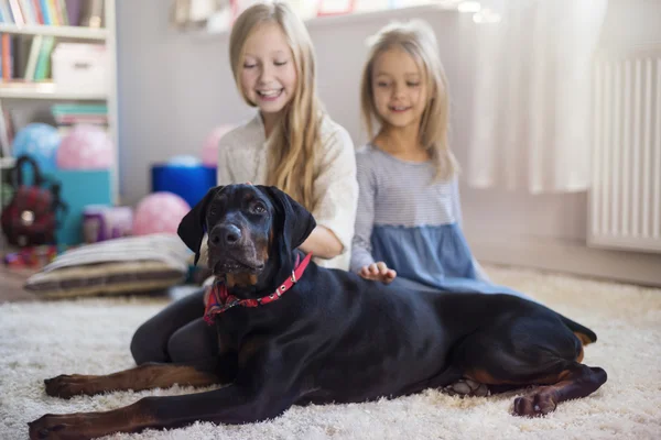 Två tjejer med svart hund — Stockfoto