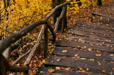 Orman parkında sonbahar yapraklarıyla kaplı ahşap merdivenler. Kırsal korkuluklar ve altın yapraklar sıcak bir düşüş atmosferi yaratır. Yatay fotoğraf, afişler ve arka planlar için mükemmel