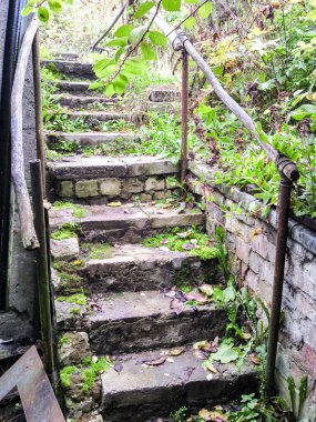 Eski terk edilmiş merdivenler çimlerle ve yosunlarla kaplanmış. Merdivenler aşırı büyümüş bitkilerin arka planına çıkıyor..