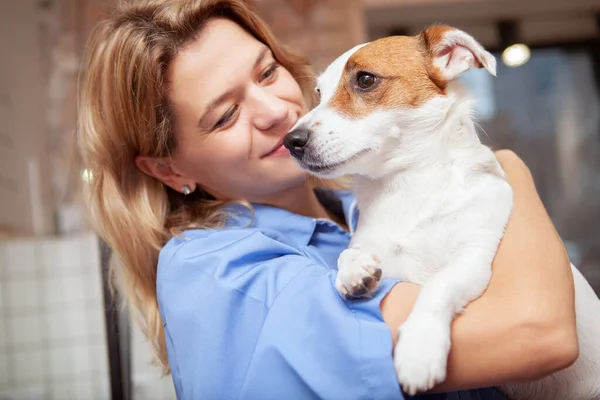 Maduro Veterinário Feminino Abraçando Com Adorável Cachorro Jack Russel Terrier — Fotografia de Stock