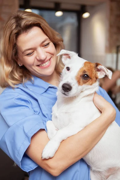 Olgun Bir Kadın Veterinerin Dikey Portresi Sevimli Jack Russel Terrier — Stok fotoğraf