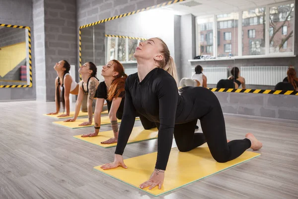 Spor Salonunda Sınıfıyla Esneme Hareketleri Yapan Yoga Hocası — Stok fotoğraf