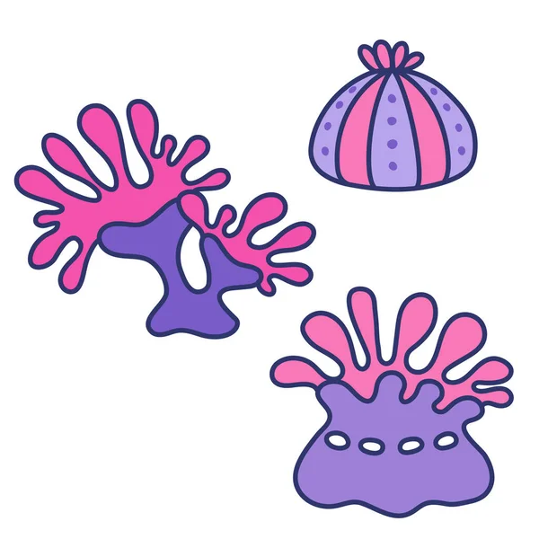Izolowany wektor ilustracji Trzy anemon w prostym stylu dziecinnym. Paleta różowo-fioletowo-liliowa — Wektor stockowy