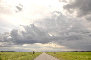 Hollanda kırsalında yol, perspektif, yoğun karanlık altında bulutlu gökyüzü ve yeşil çayırlar ve uzak düz bir ufuk arasında.