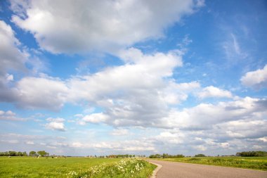Hollanda kırsalında yol, perspektif, gökyüzü altında bulutlar ve yeşil çayırlar ve uzak düz bir ufuk arasında.