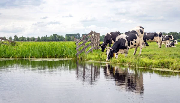 Dricksvatten Stranden Bäcken Rustik Land Scen Reflektion Ett Dike Vid — Stockfoto