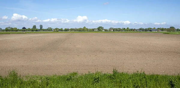 大規模な茶色の農業のオープンフィールドは 地平線にNederhorst Den Bergの村で播種する準備ができて — ストック写真