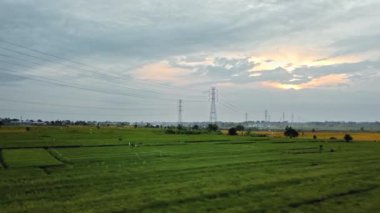 Gün batımında yeşil pirinç tarlasında yeni inşa edilmiş bir elektrik iletim kulesinin hava aracı görüntüsü.
