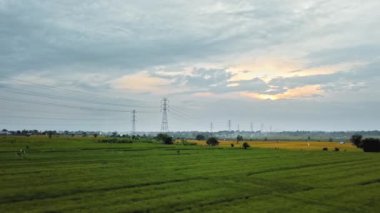 Gün batımında yeşil pirinç tarlasında yeni inşa edilmiş bir elektrik iletim kulesinin hava aracı görüntüsü.
