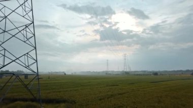 Gün batımında yeşil pirinç tarlasında yeni inşa edilmiş bir elektrik iletim kulesinin hava aracı görüntüsü.