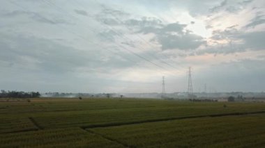 Gün batımında yeşil pirinç tarlasında yeni inşa edilmiş bir elektrik iletim kulesinin hava aracı görüntüsü.