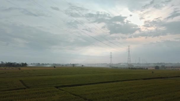 Vista Aérea Drone Uma Torre Transmissão Elétrica Recém Construída Campo — Vídeo de Stock