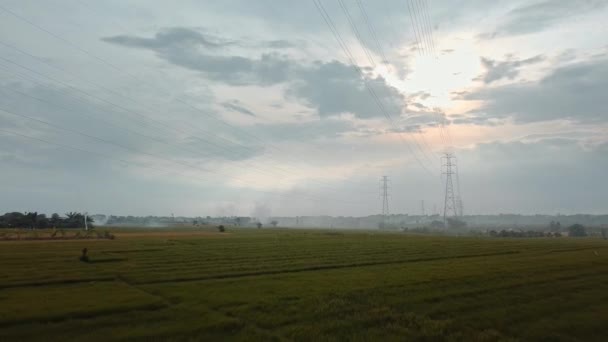 Vista Aérea Drone Uma Torre Transmissão Elétrica Recém Construída Campo — Vídeo de Stock