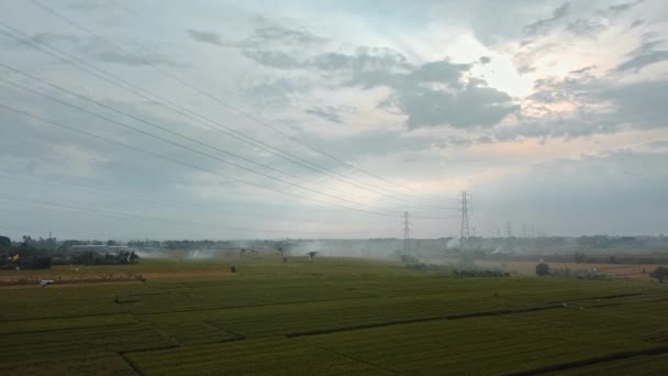 Luchtfoto Van Een Nieuw Gebouwde Elektrische Zendmast Een Groen Rijstveld — Stockvideo