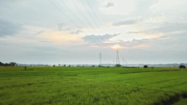 夕日の緑の田に新設された送電塔の空中ドローンビュー — ストック動画