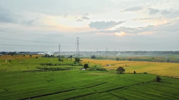 Luchtfoto Van Een Nieuw Gebouwde Elektrische Zendmast Een Groen Rijstveld — Stockvideo