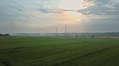 Gün batımında yeşil pirinç tarlasında yeni inşa edilmiş bir elektrik iletim kulesinin hava aracı görüntüsü.