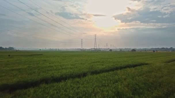 日落时新建成的绿色稻田输电塔的空中无人驾驶图像 — 图库视频影像