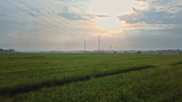 Vista Aérea Drone Uma Torre Transmissão Elétrica Recém Construída Campo — Vídeo de Stock