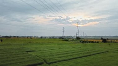 Gün batımında yeşil pirinç tarlasında yeni inşa edilmiş bir elektrik iletim kulesinin hava aracı görüntüsü.