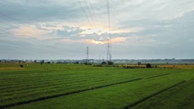 Gün batımında yeşil pirinç tarlasında yeni inşa edilmiş bir elektrik iletim kulesinin hava aracı görüntüsü.