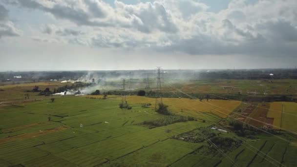 Luchtfoto Van Een Nieuw Gebouwde Elektrische Zendmast Een Groen Rijstveld — Stockvideo