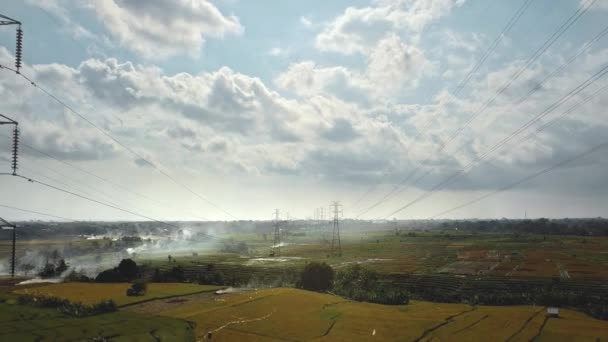 Drohnenblick Auf Einen Neu Errichteten Strommast Auf Einem Grünen Reisfeld — Stockvideo