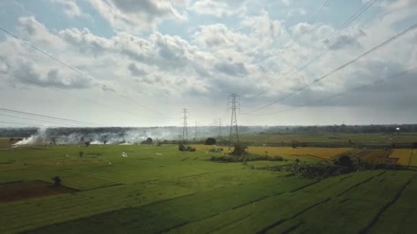 Vista Aérea Drone Uma Torre Transmissão Elétrica Recém Construída Campo — Vídeo de Stock