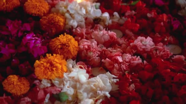 在晚上的Diwali节 视频在五彩缤纷的花朵中点燃了一支蜡烛 — 图库视频影像