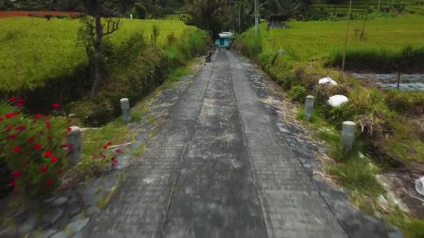 モーションブラー付きバリ島の道路と緑の田んぼのトップビューと4Kドローンストック映像 — ストック動画