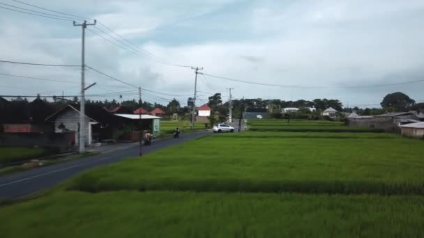 Imagens Estoque Drone Com Vista Superior Campo Arroz Verde Uma — Vídeo de Stock