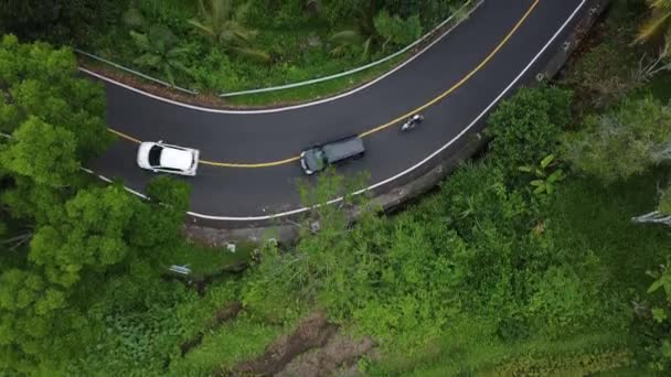 Drone Stock Záběry Horní Pohled Zelené Rýžové Pole Ostrově Bali — Stock video