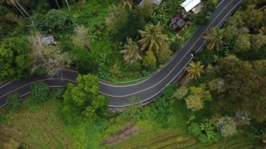 4k drone stok görüntüsü. Yeşil pirinç tarlasının en üst görüntüsü. Bali adasında, yolda arabalar ve hareket bulanıklığı var. 