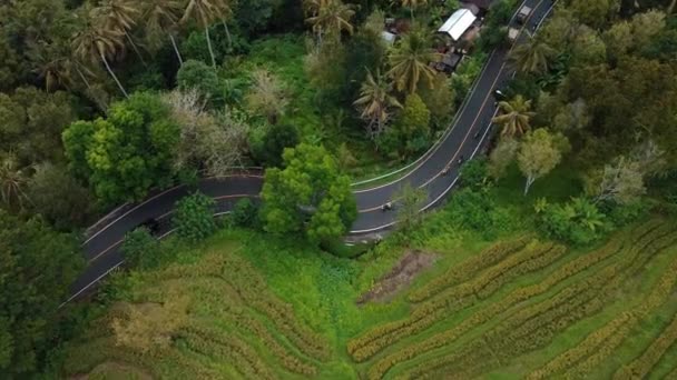 道路上の車とモーションブラーとバリ島の緑の水田の上ビューで4Kドローンストック映像 — ストック動画